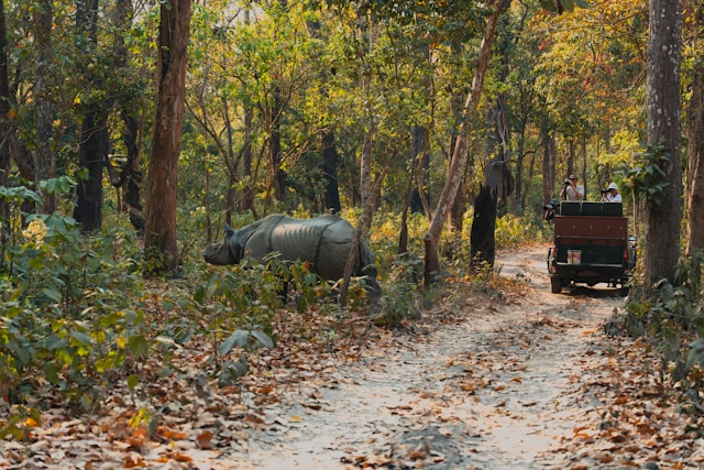 Adventure Tours Glimps